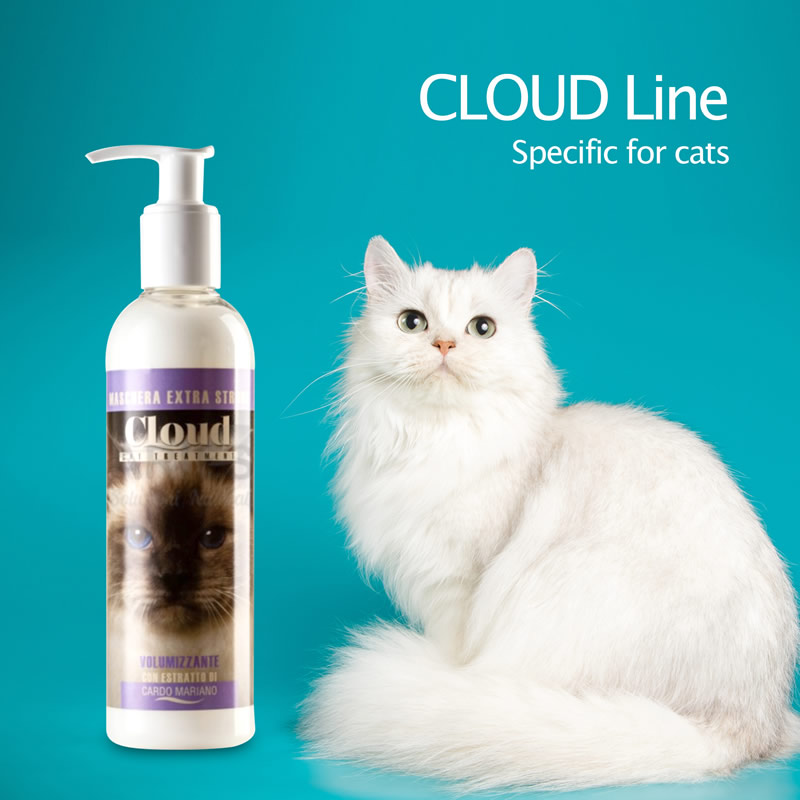 linea-per-gatti